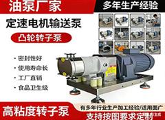 高粘度转子泵麻酱输送泵
